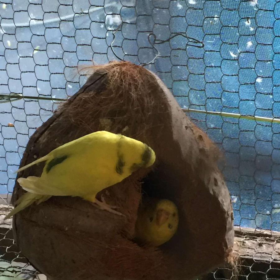 Ella Nature Nest 外观 照片