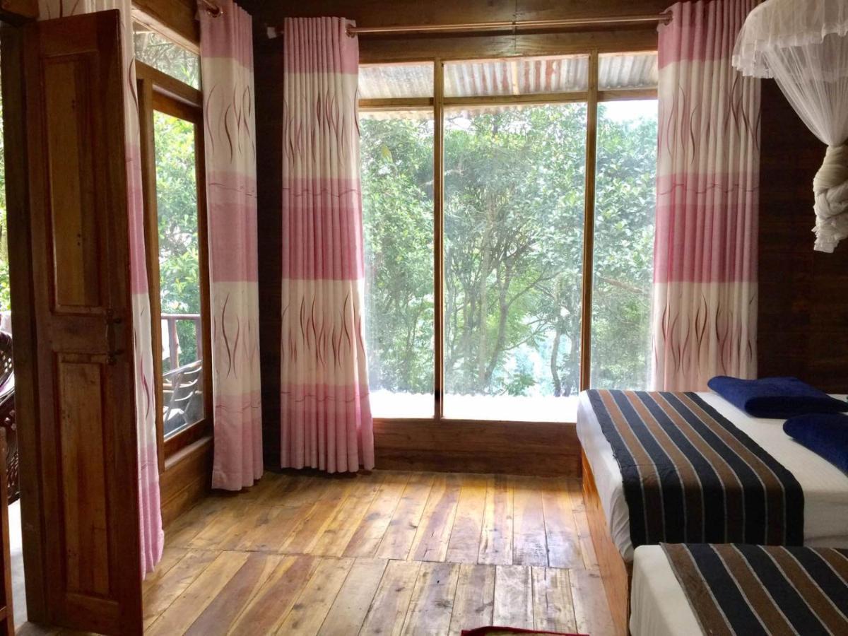 Ella Nature Nest 外观 照片