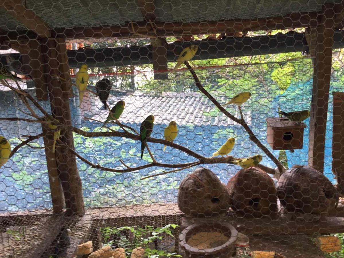 Ella Nature Nest 外观 照片