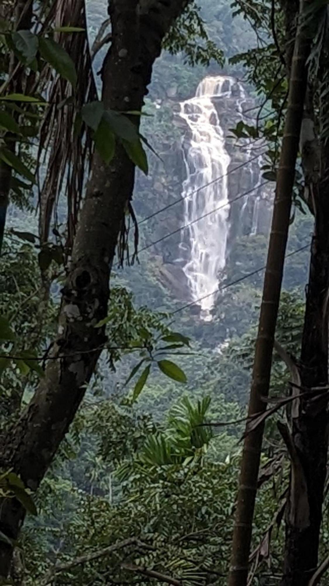 Ella Nature Nest 外观 照片
