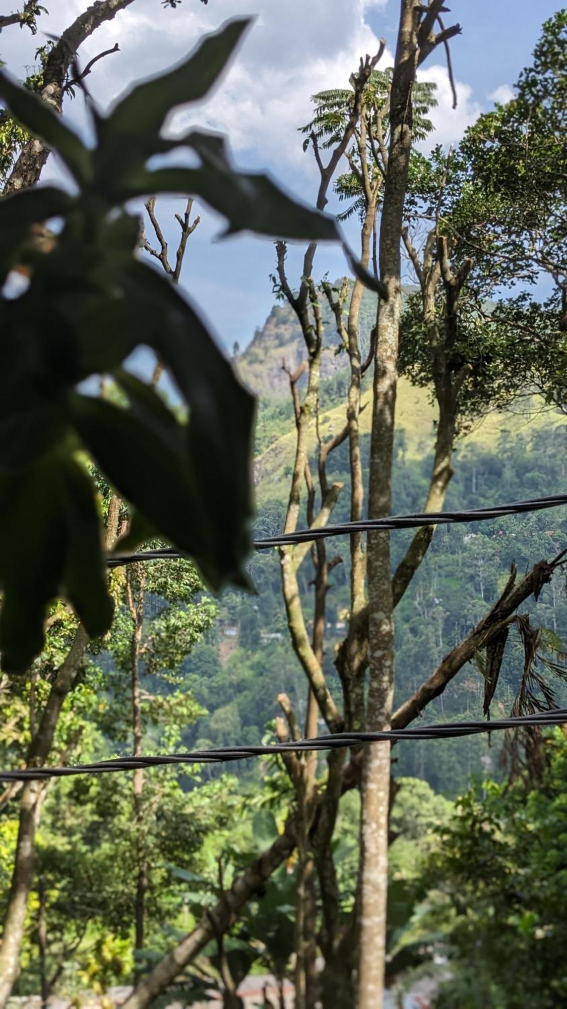 Ella Nature Nest 外观 照片