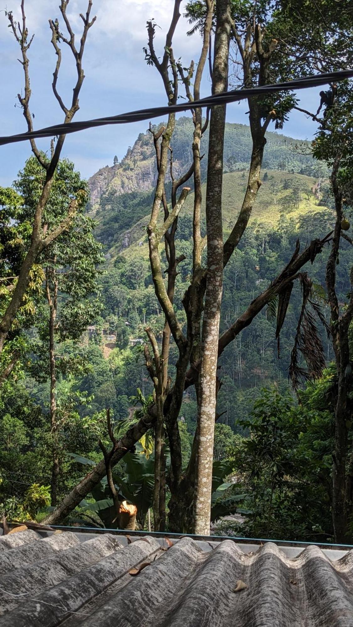 Ella Nature Nest 外观 照片