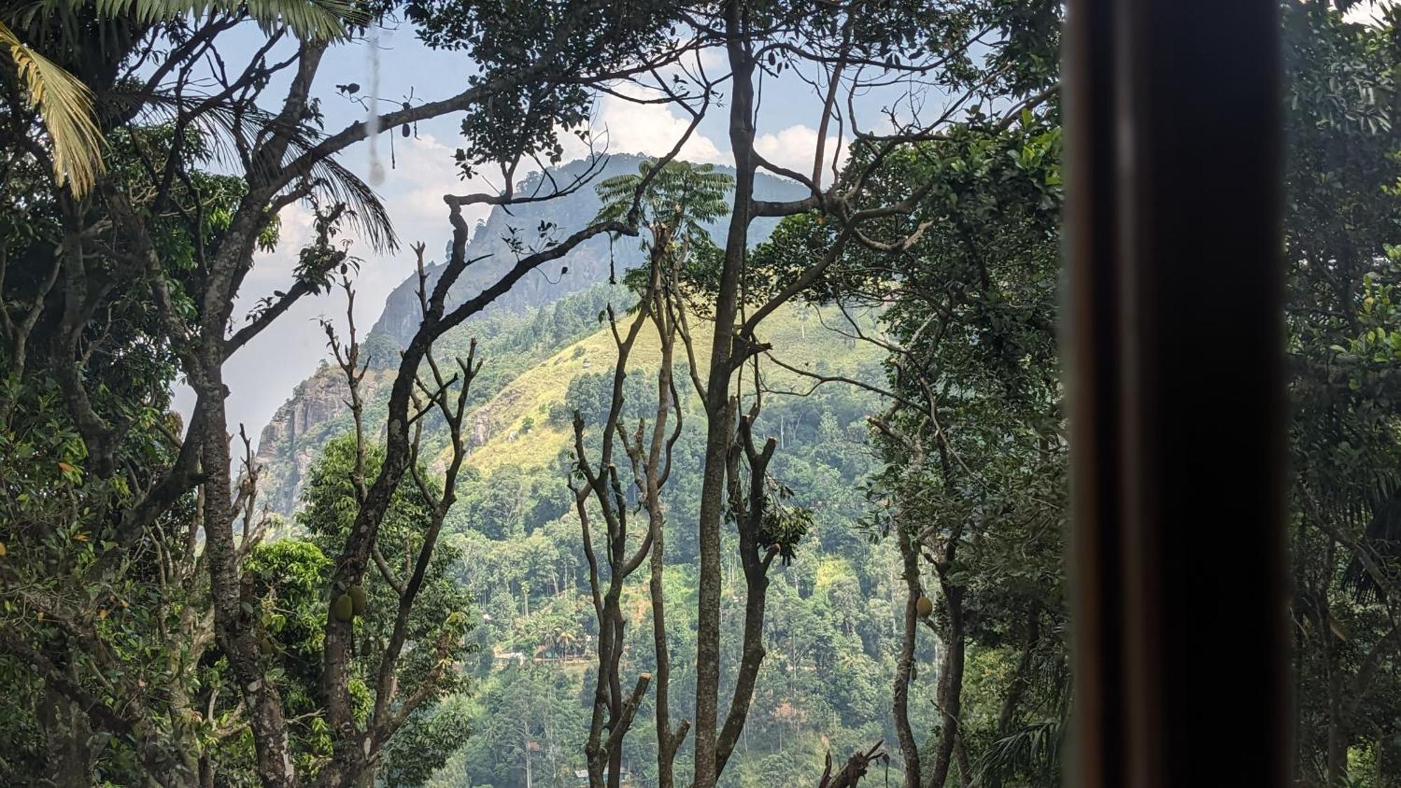 Ella Nature Nest 外观 照片