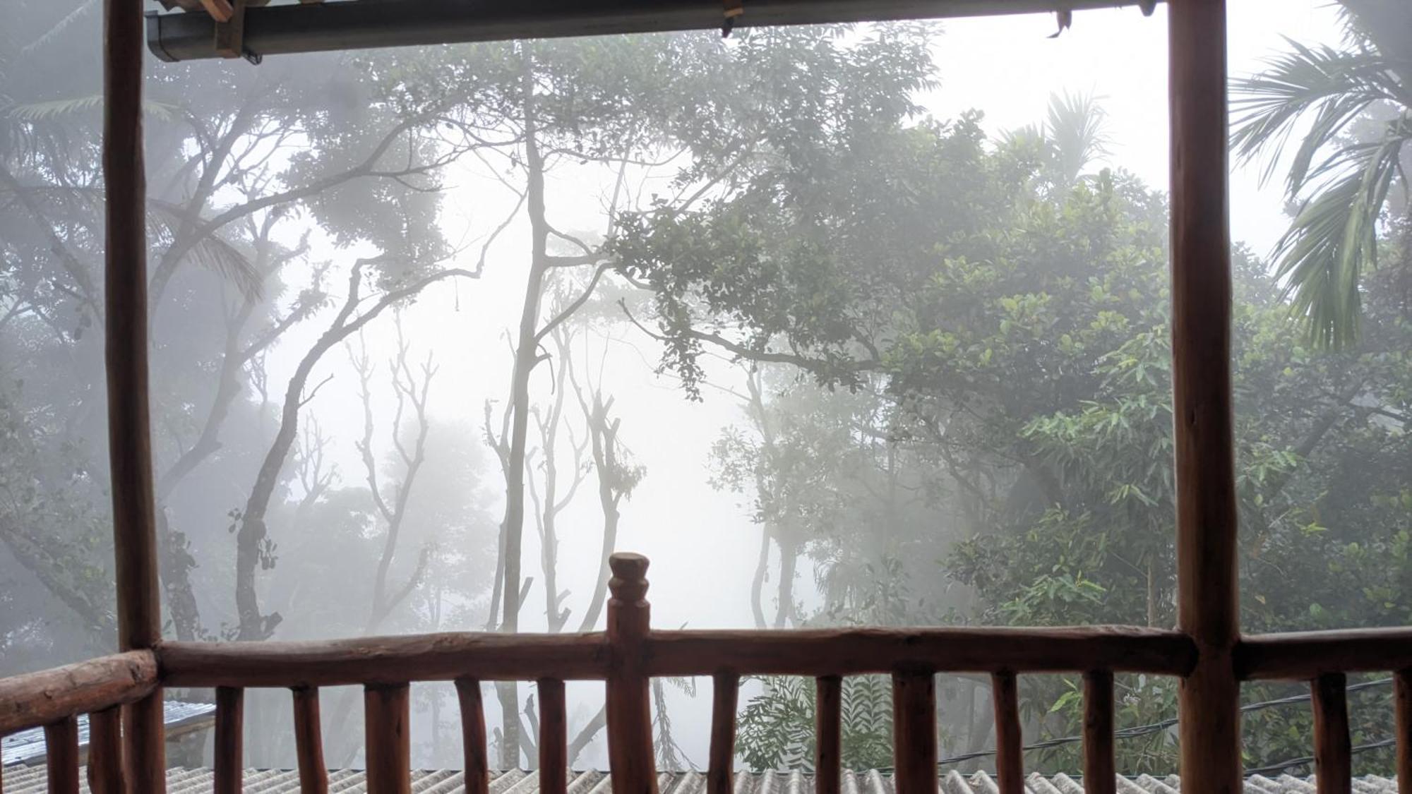 Ella Nature Nest 外观 照片