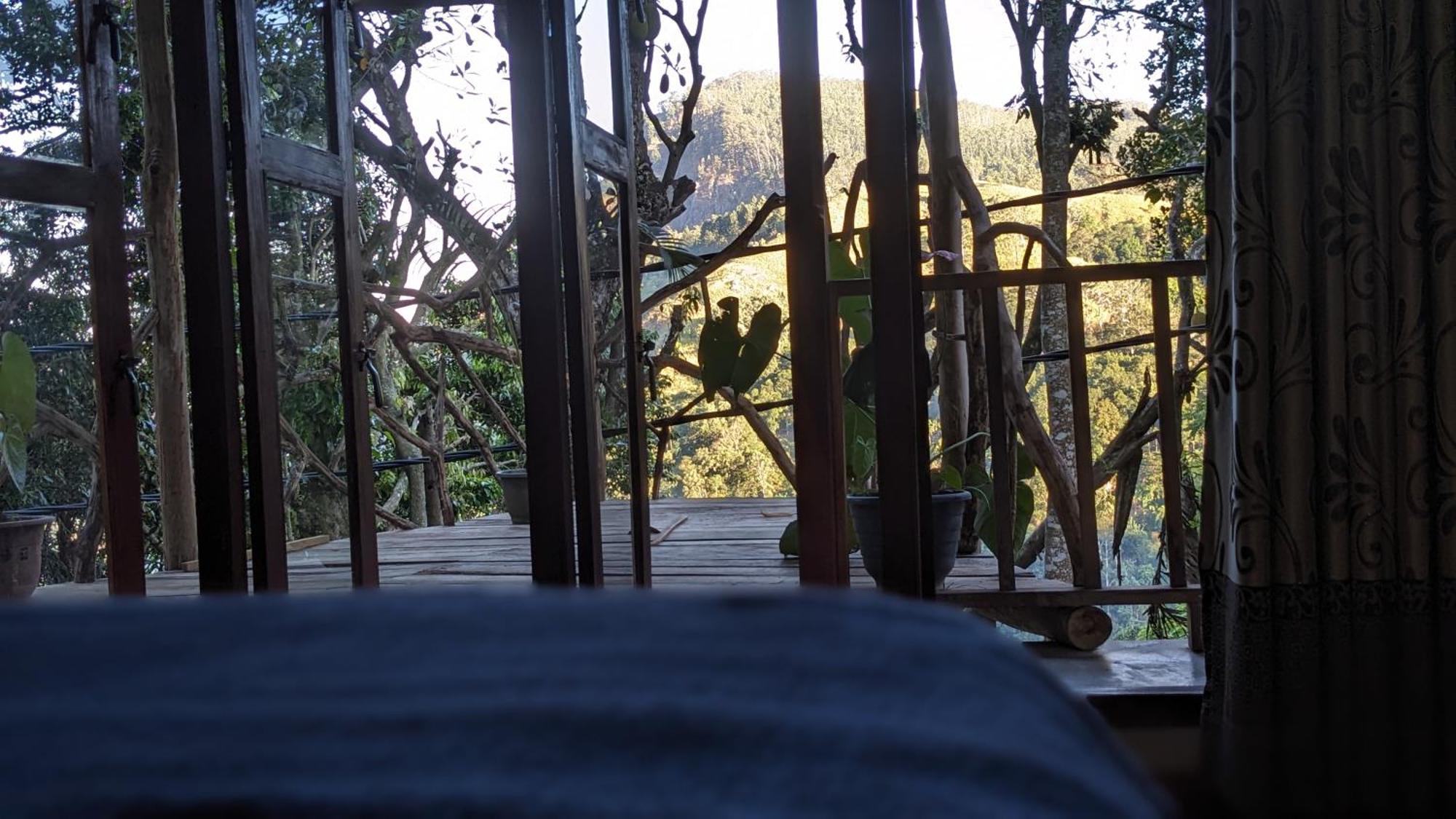 Ella Nature Nest 客房 照片